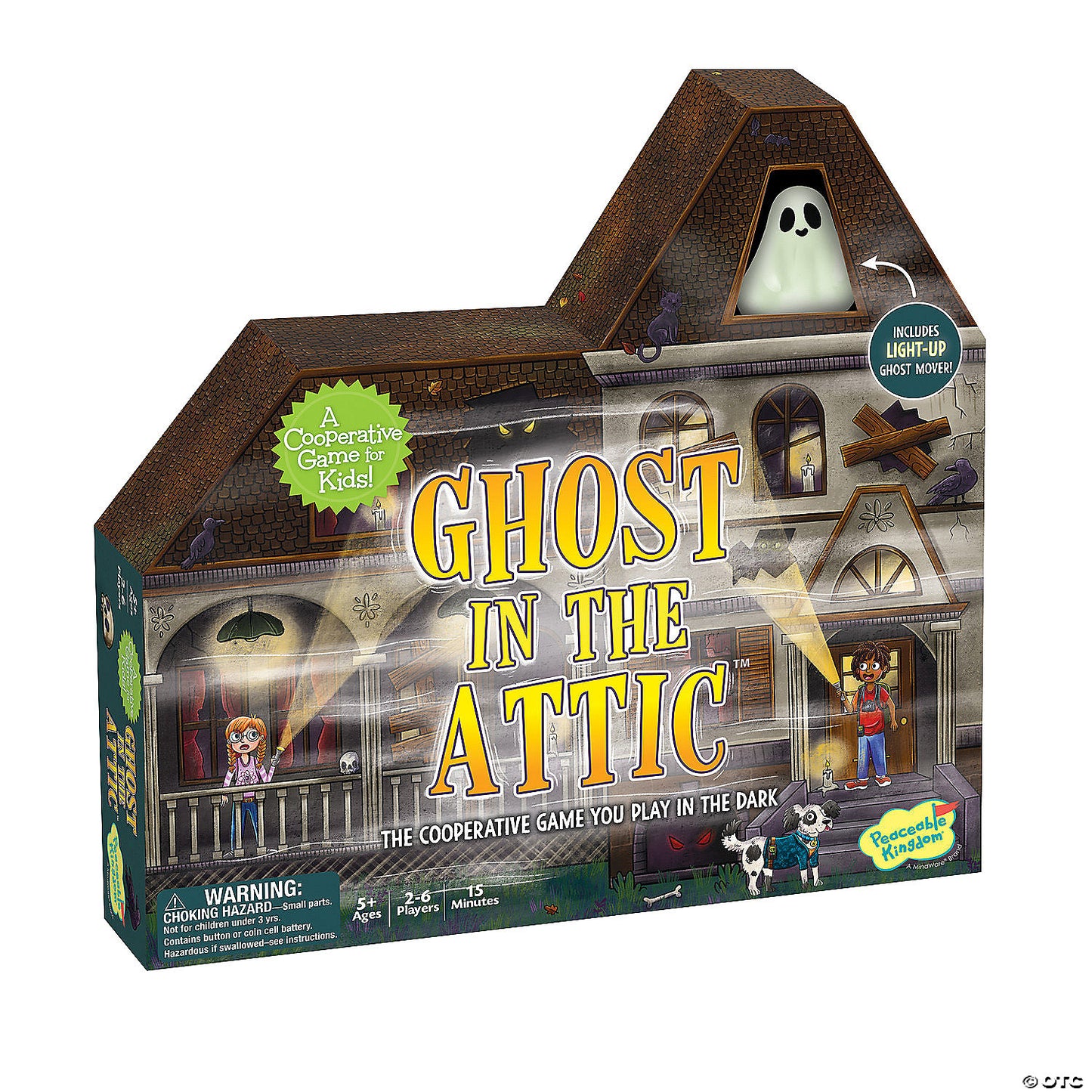 GHOST IN THE ATTIC