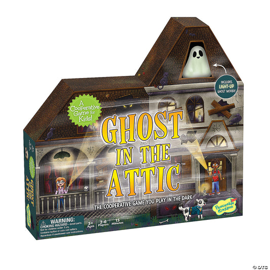 GHOST IN THE ATTIC