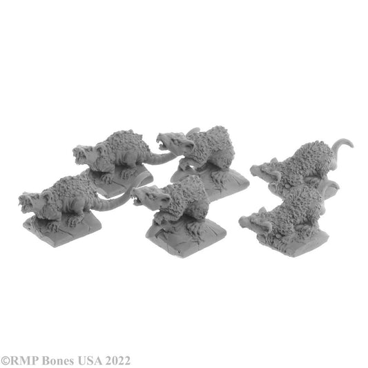 Giant Tomb Rats (6)