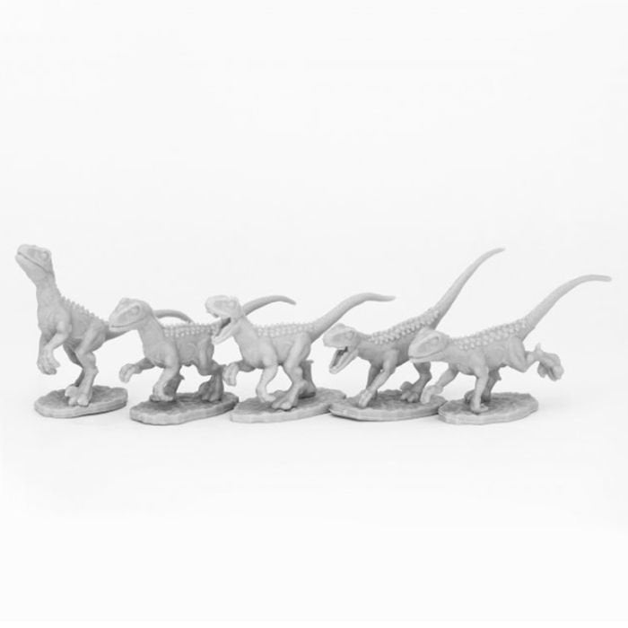 Raptor Hunting Pack (5)