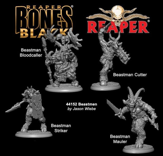 Beastmen (4)
