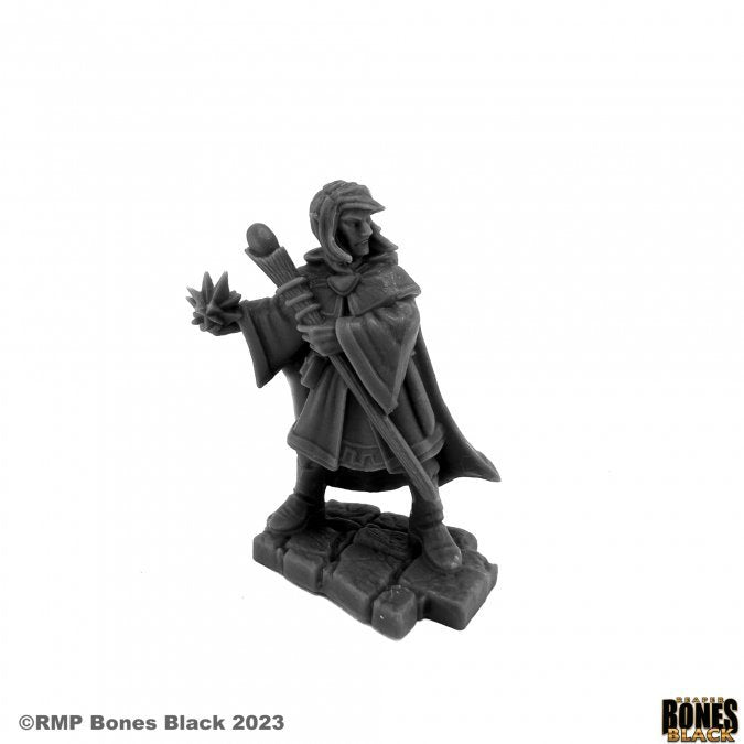 Elf Wizard