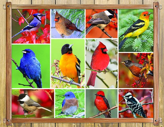 Songbirds (100 pc) Puzzles to Remember 36, 60 & 100 Pieces