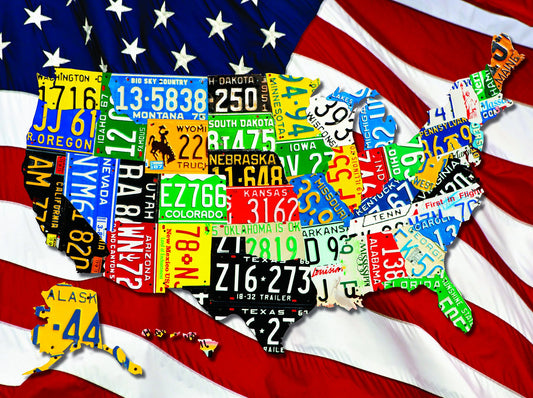 State Plates 400 Piece Springbok - Family