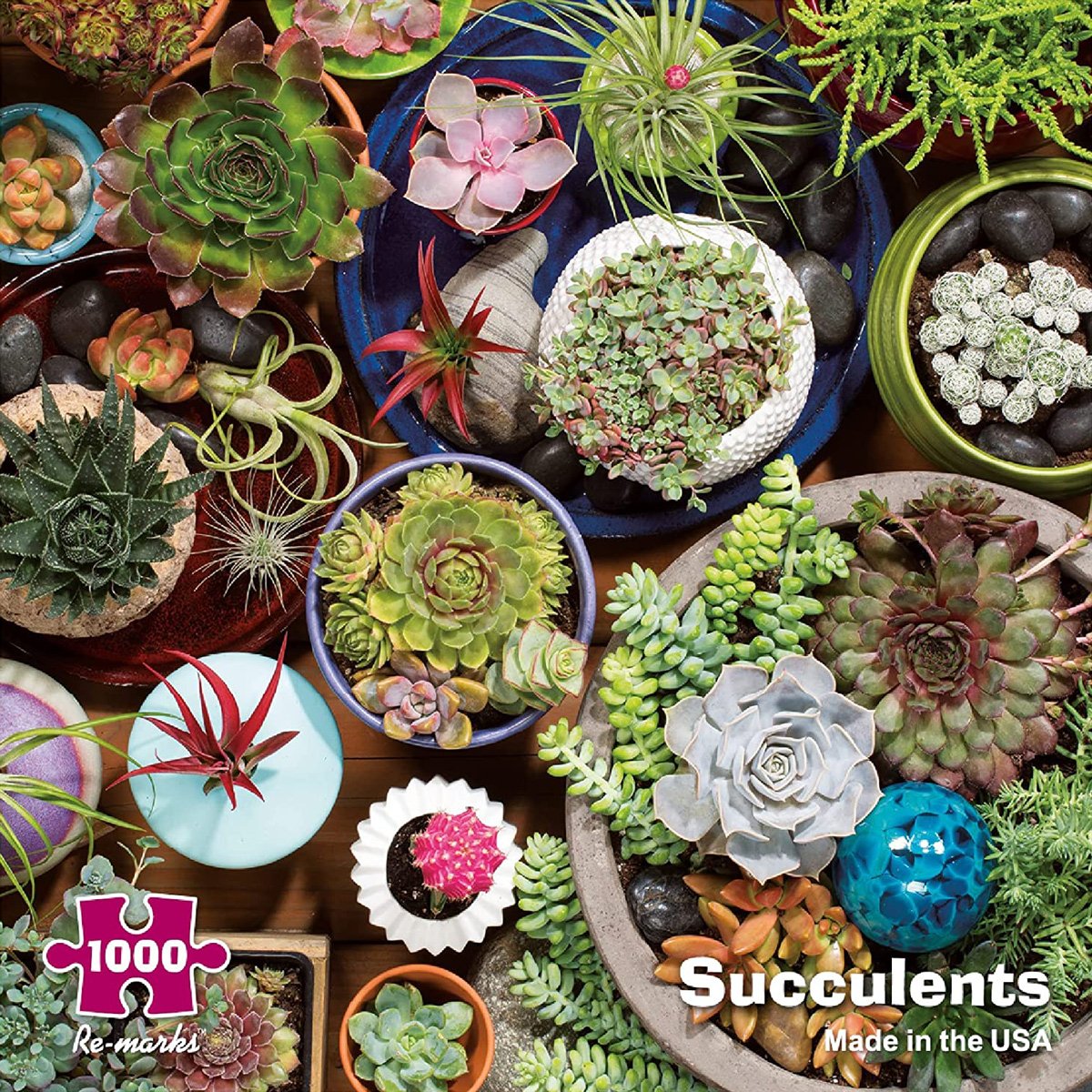 1000 Piece Succulents Puzzle