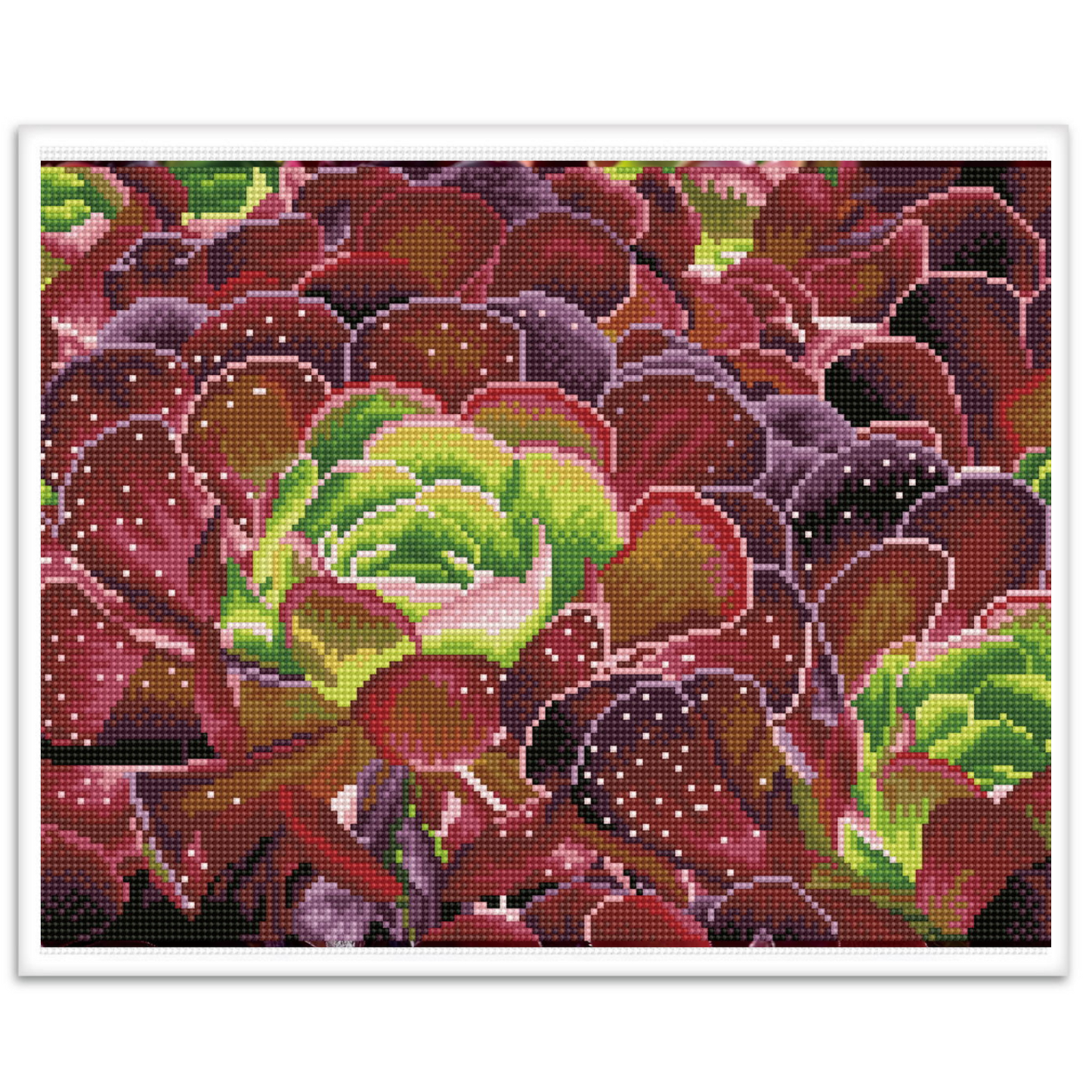 Succulents (Square) -Diamond Dotz