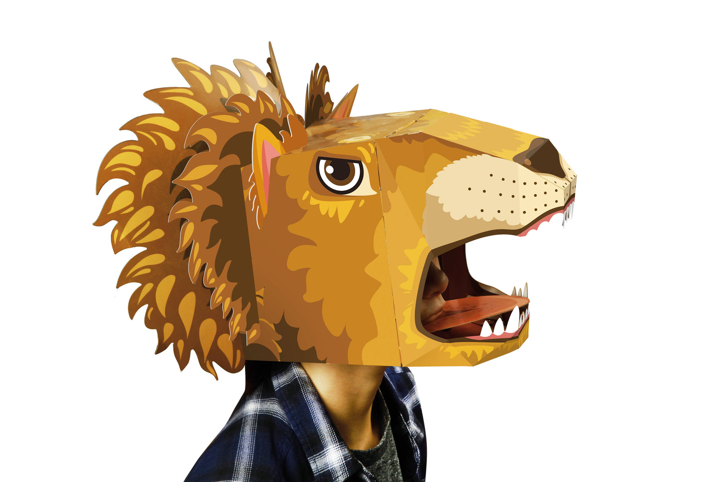 Lion 3D Mask Card Craft - T-3029