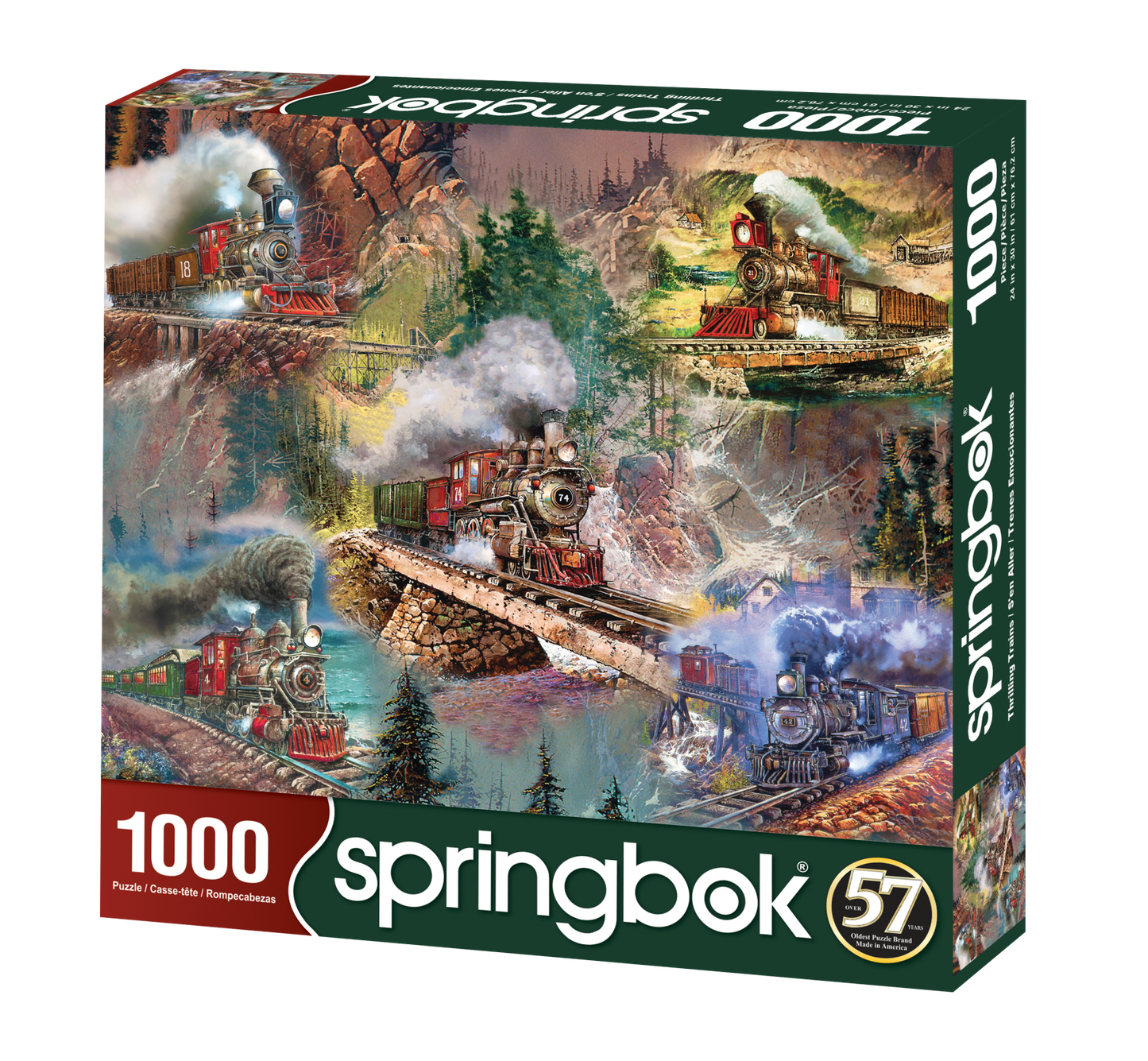 Thrilling Trains 1000 Piece Springbok