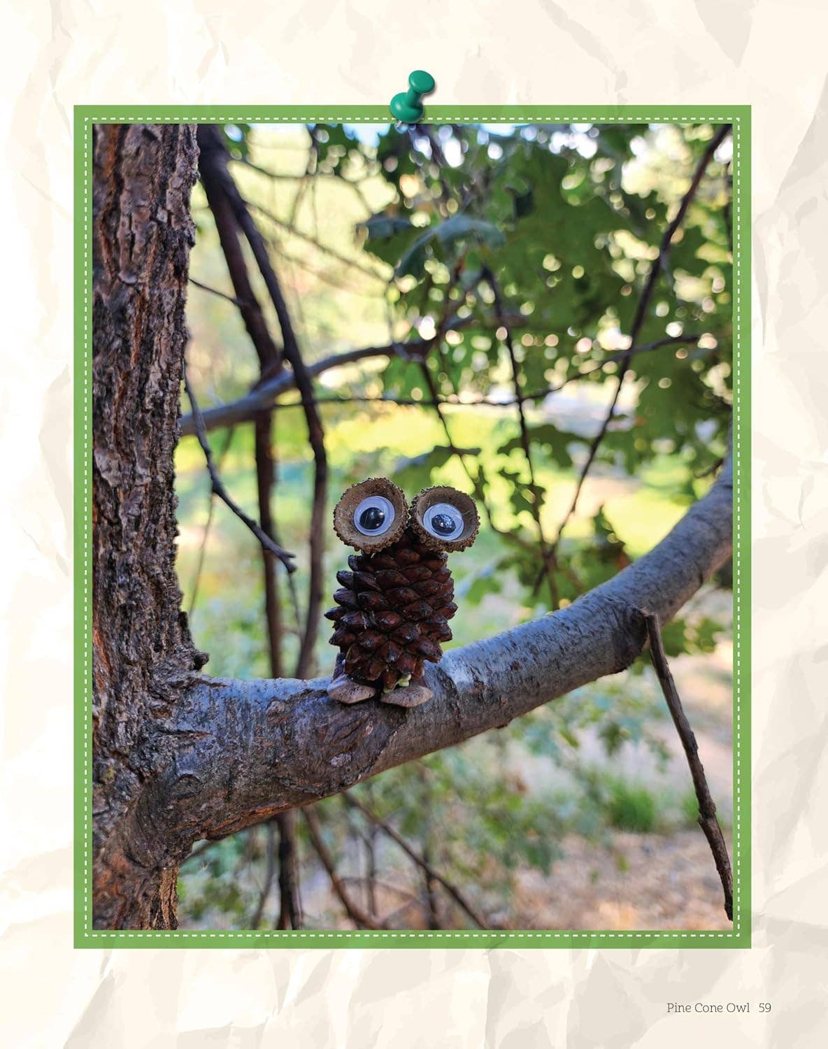 Fox Chapel Publishing - Campfire Crafts - 70+ Screen-Free Outdoor Projects Book