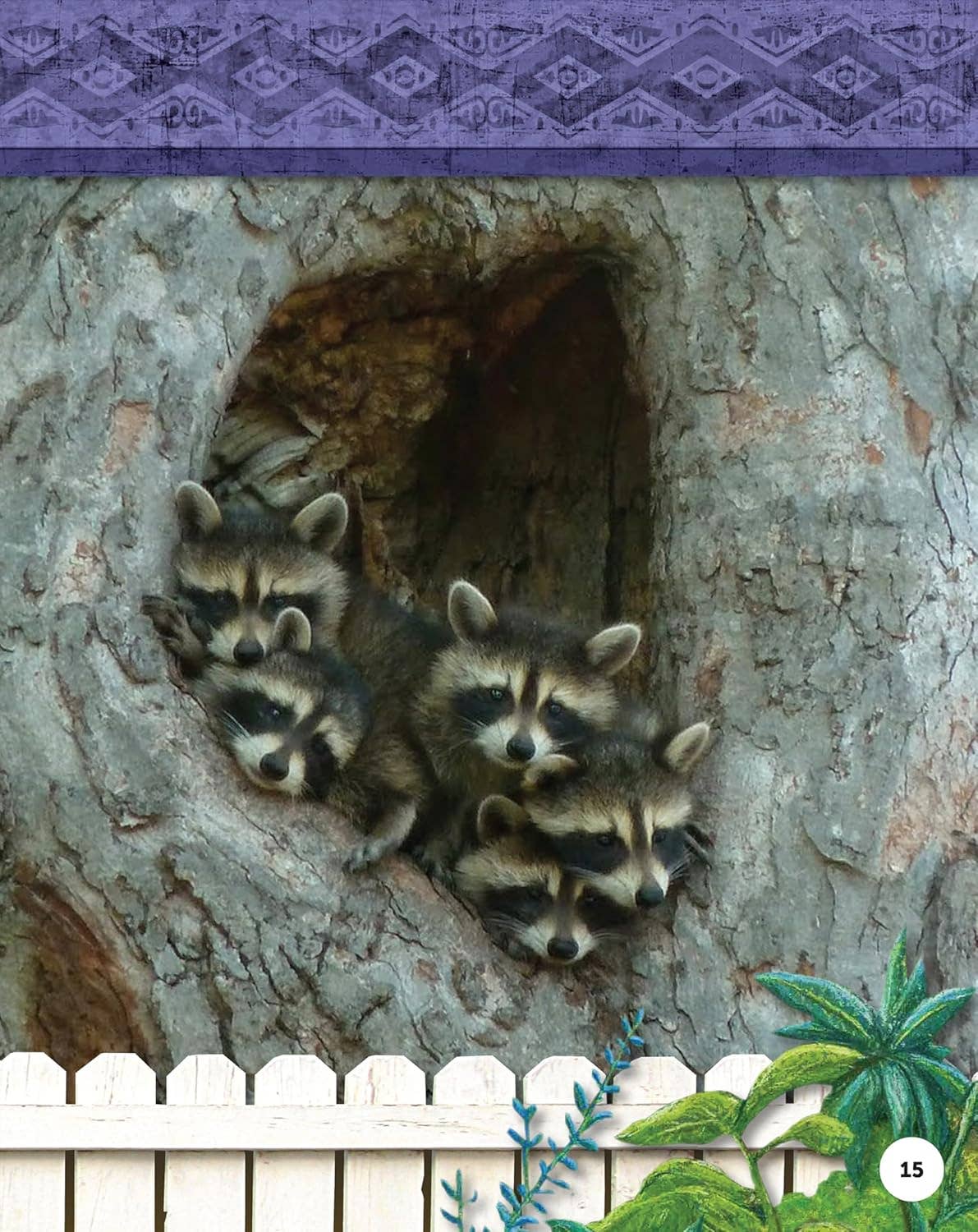 Fox Chapel Publishing - Kids' Backyard Safari:  RACCOONS (HC) - Explore Their World