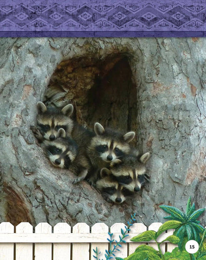 Fox Chapel Publishing - Kids' Backyard Safari:  RACCOONS (HC) - Explore Their World