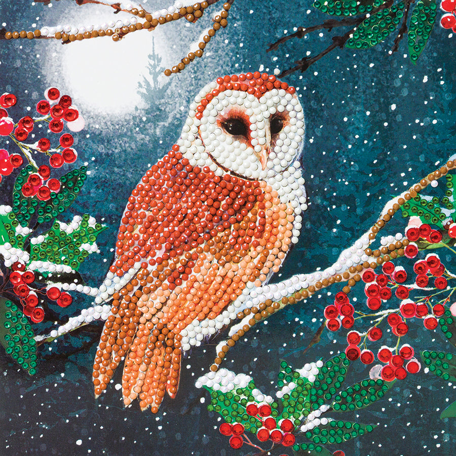 CA Card Kit: Barn Owl