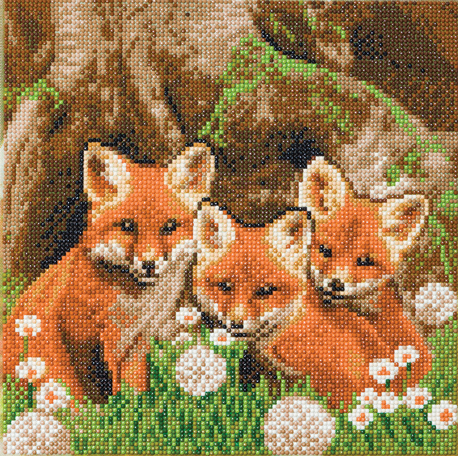 CA Mounted Kit (Med): Fox Cubs