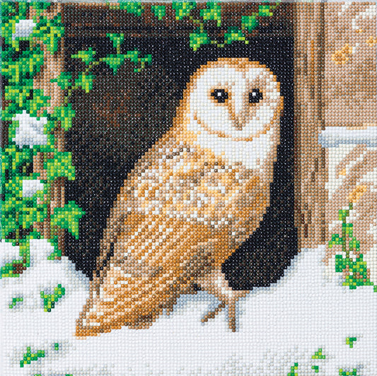 CA Mounted Kit (Med): Snowy Owl