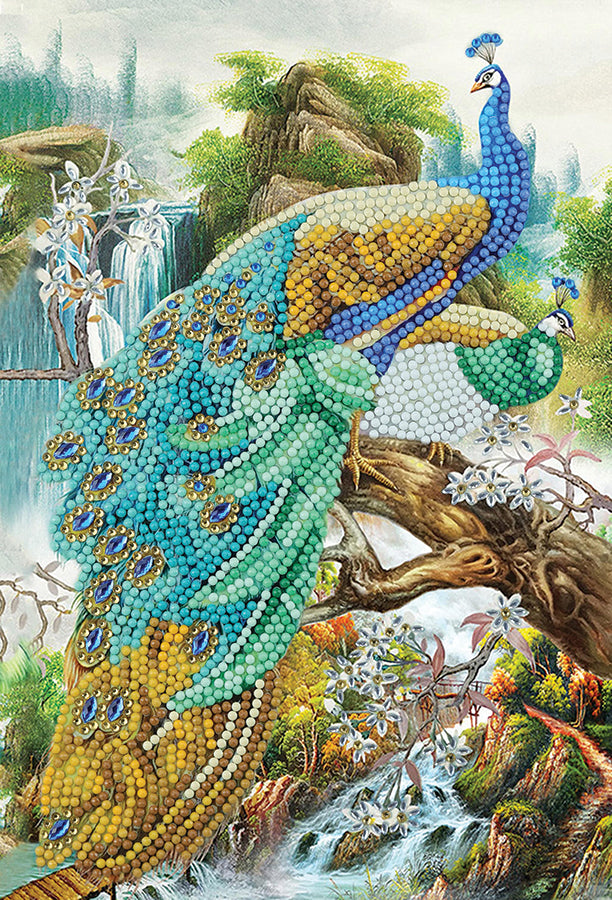 CA Notebook Kit: Peacock Waterfall