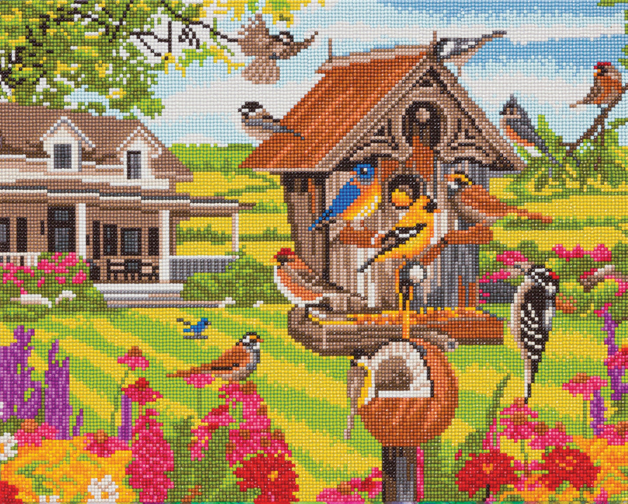 CA Mounted Kit (Lg): Garden Birds