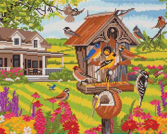 CA Mounted Kit (Lg): Garden Birds