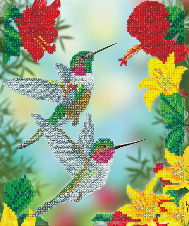 CA Silver Frame Kit: Hungry Hummingbirds