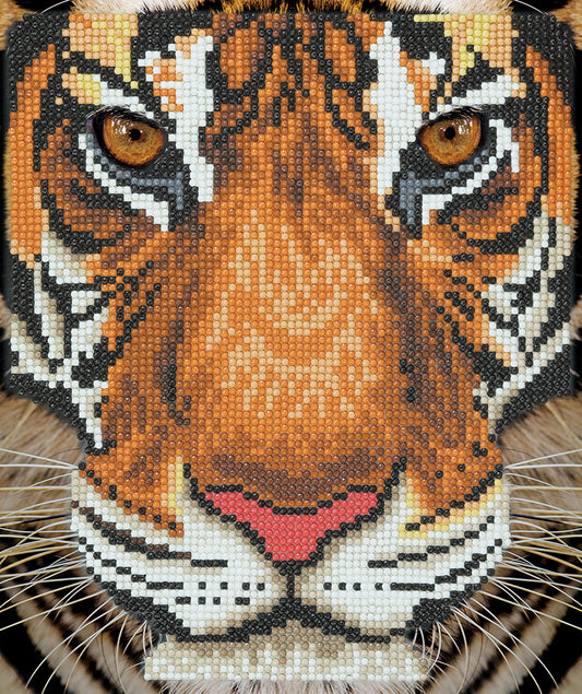 CA Silver Frame Kit: Tiger Face