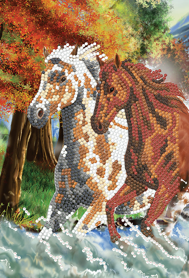 CA Notebook Kit: Wild Horses