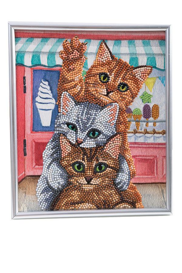 CA Silver Frame Kit: Kittens and Ice Cream