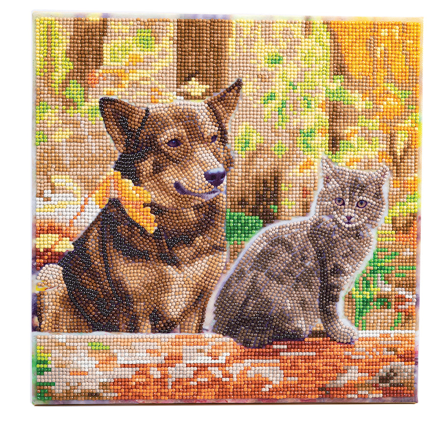 CA Mounted Kit (Med): Cat and Dog in the Woods
