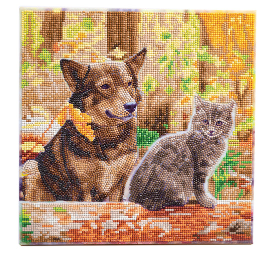 CA Mounted Kit (Med): Cat and Dog in the Woods