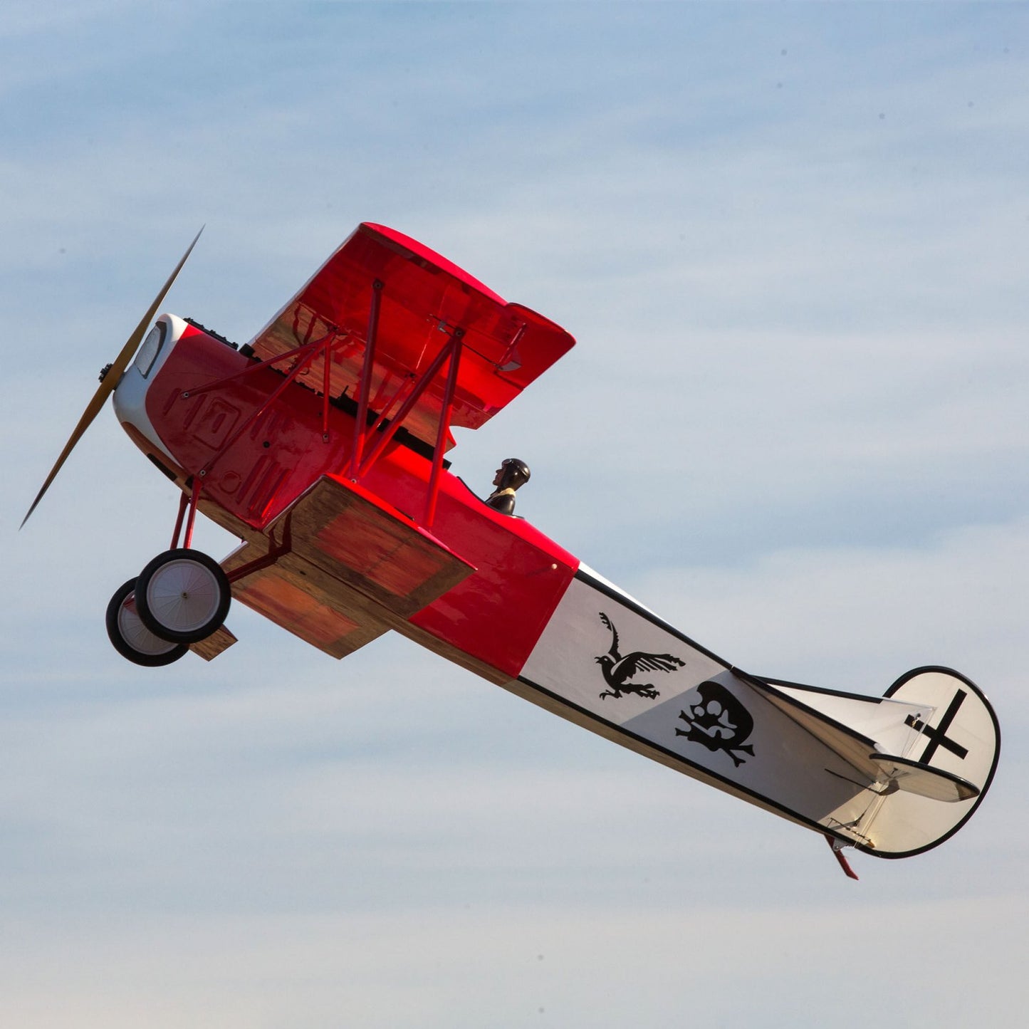 Hangar 9 Fokker D.VII 30  60cc ARF (HAN2890) | Giant Scale WWI RC Airplane