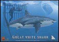 Great White Shark W/cage&diver