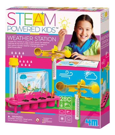 STEAM WEATHER STATION